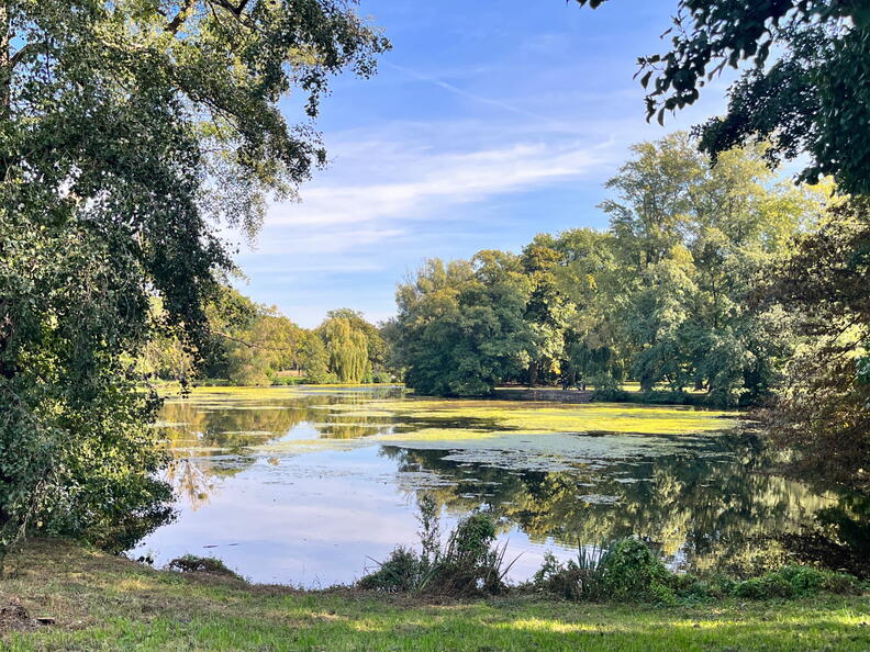 23-09-25 11-56-45 7419